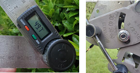 2024 Elevation Adjustment