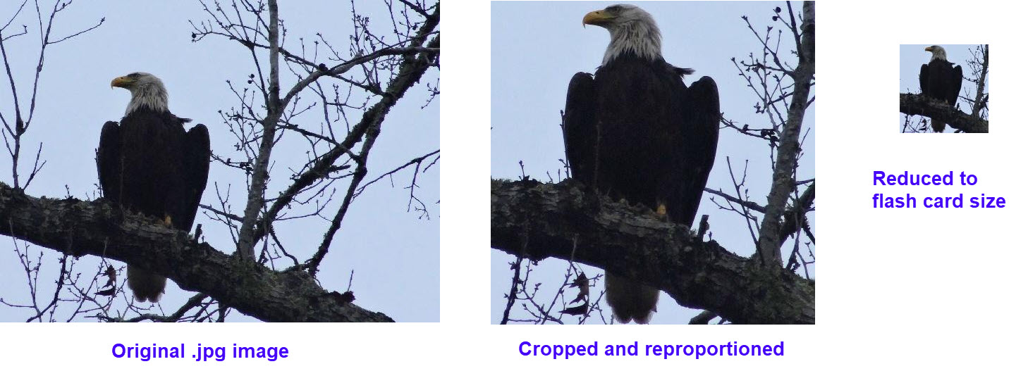 Adapting image for flash card presentation