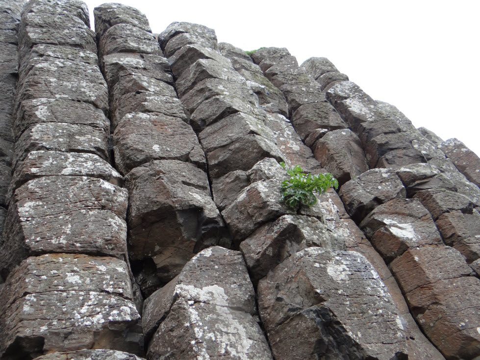Giant's Causeway - 2
